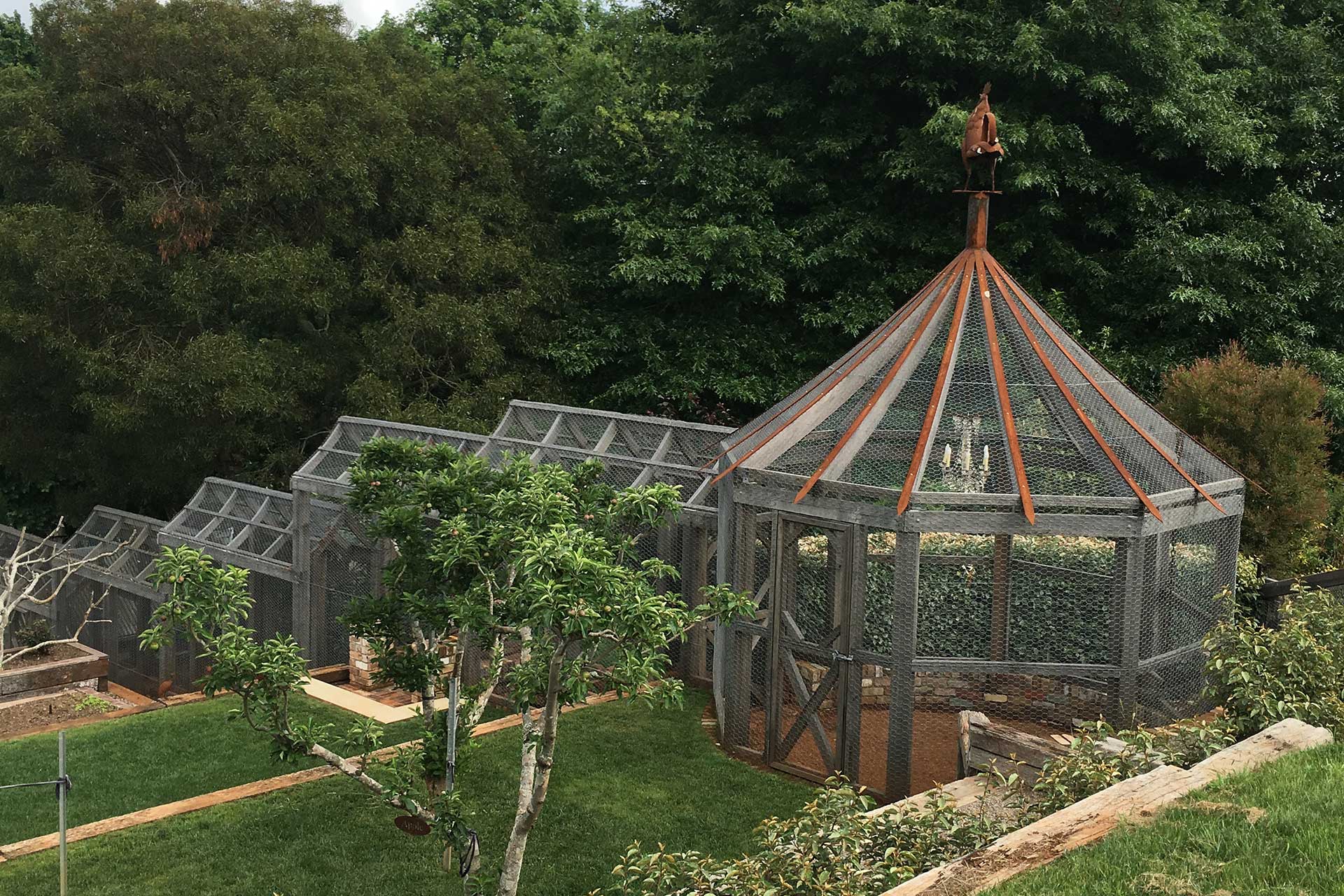 Pepper Tree Creek Glass House and Chicken Run Jarrod Olsen & Co